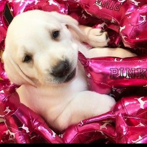 ❤❤SALE 3X25❤❤